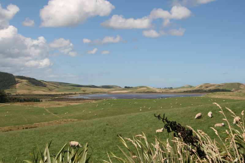 Nieuw-Zeeland 2011 - 1789